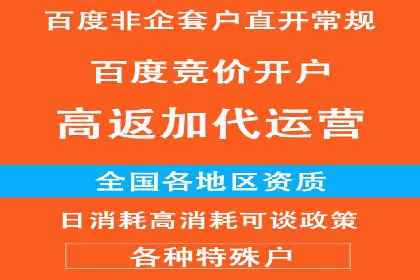 SEM精准广告投放的五大成功案例